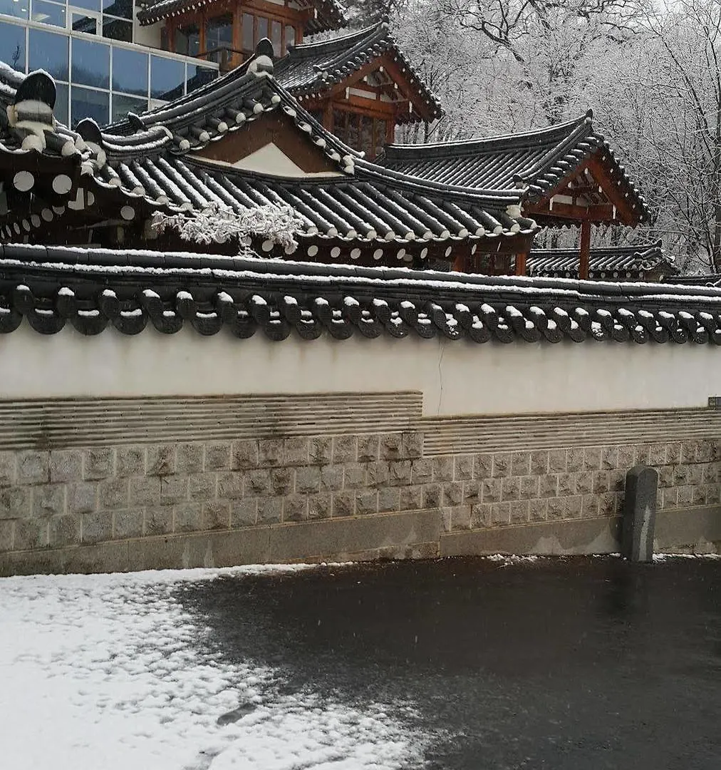 Seoul Y Guest House