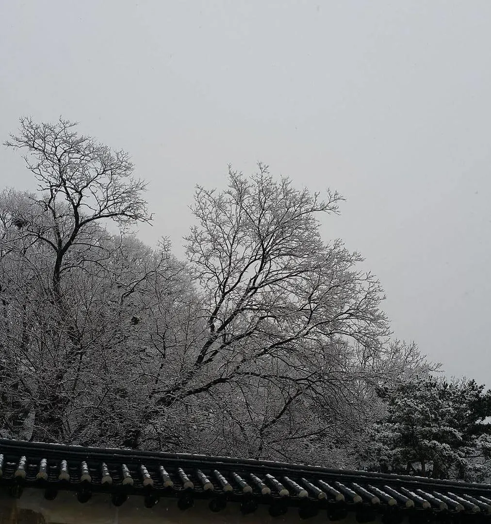 Hotel Seoul Y Guest House